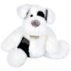 Plyšový psík Noopy Dog Histoire d’ Ours biely 30 cm od 0 mes HO3126