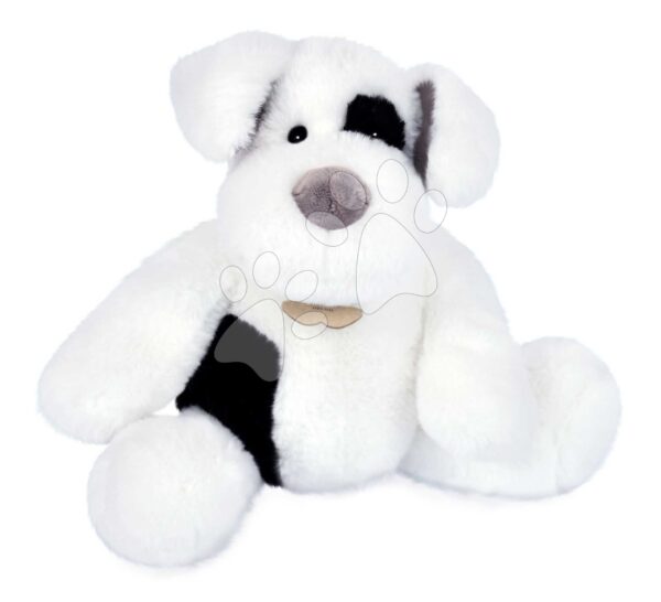 Plyšový psík Noopy Dog Histoire d’ Ours biely 30 cm od 0 mes HO3126